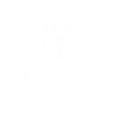 Celebraciones Luma
